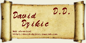 David Džikić vizit kartica